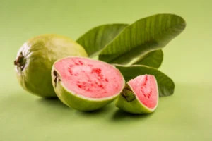 guava leaf