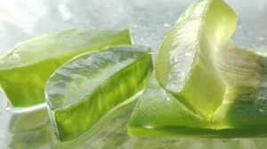Aloe Vera: Everything You Need To Know About This Beneficial Plant