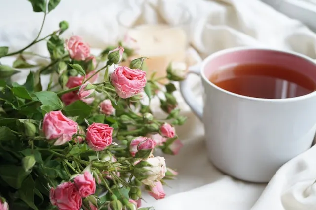 Rosehip tea