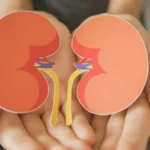 How to Cleanse Your Kidneys Naturally: The Most Effective Tricks