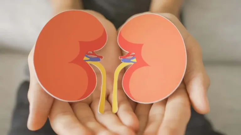 How to Cleanse Your Kidneys Naturally: The Most Effective Tricks
