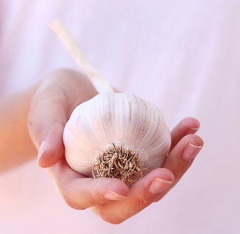 Is It True That Garlic Can Control Cholesterol And Blood Sugar?