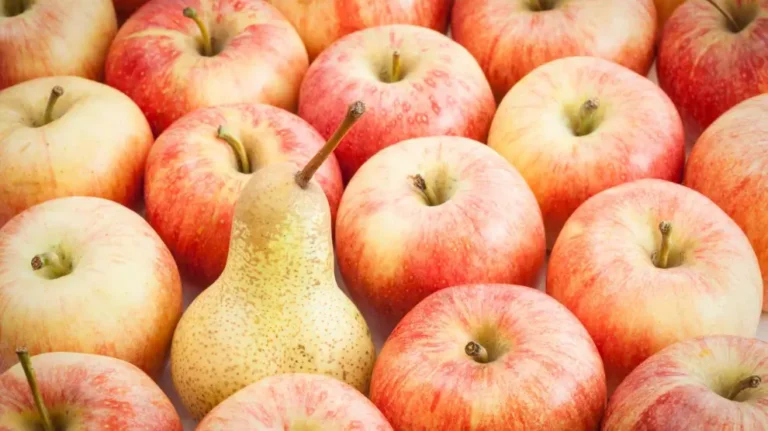 Neither Pineapple Nor Kiwi: The Fruit You Should Eat To Lose Weight, According To Nutritionists