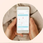Ovulation: Understanding Its Role And Impact On Fertility