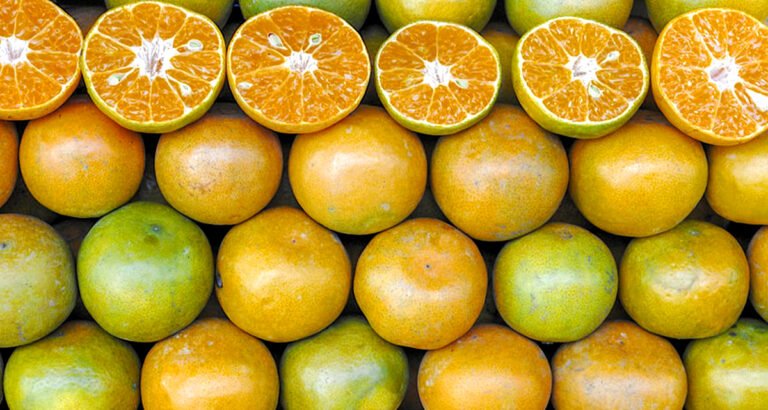 Vitamin A: Your Ally for Good Health