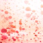 White Blood Cells: High, Low, Normals, and Interpretation