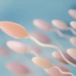 Diabetes Affects Male Fertility By Altering Sperm Functions.