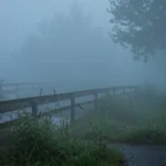 Humidity: The Silent Threat That Affects Your Heart And Mind