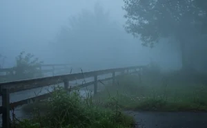 Humidity: The Silent Threat That Affects Your Heart And Mind