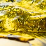 Algal Oil – The Vegan Source Of Omega-3