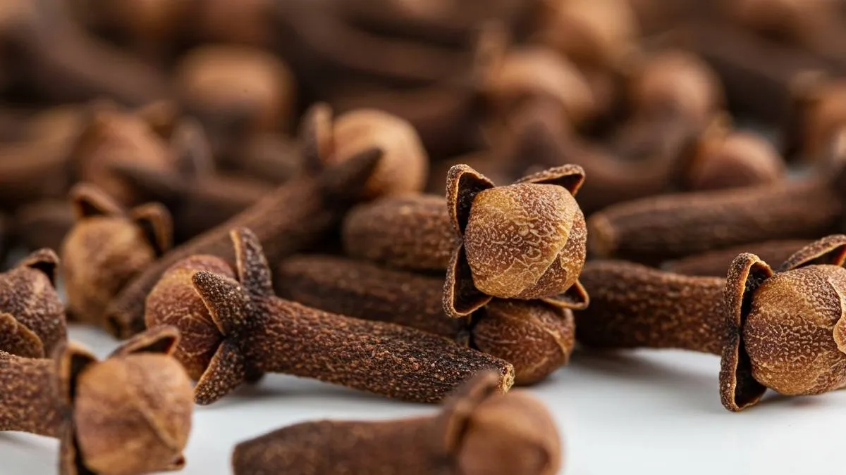 Clove