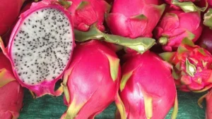 Dragon fruit