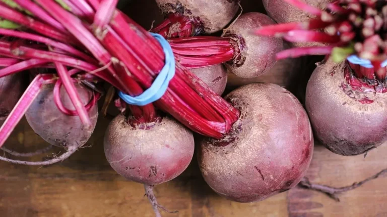 The 7 Healing Properties Of Beets, According To UNAM