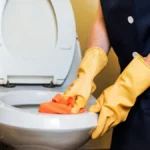 What Is The Correct Way To Disinfect The Toilet?