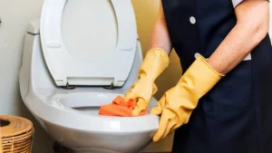 toilet