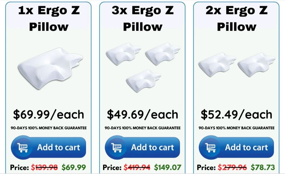 Ergo Z Pillow Price