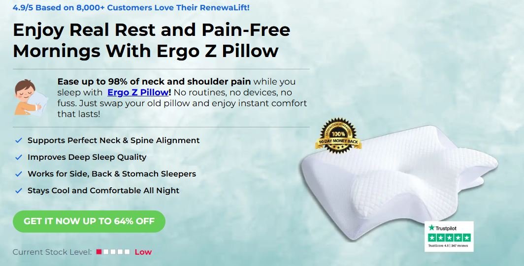 Ergo Z Pillow Try