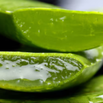 Five Health Uses Of Aloe Vera