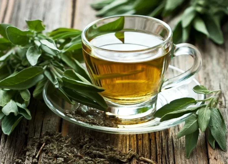 Green Tea Is A Good Option For Eliminating Dark Circles Under The Eyes.