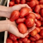 Tomato: The Natural Method To Relieve Burns