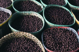 What You Should Know About Acai Seeds