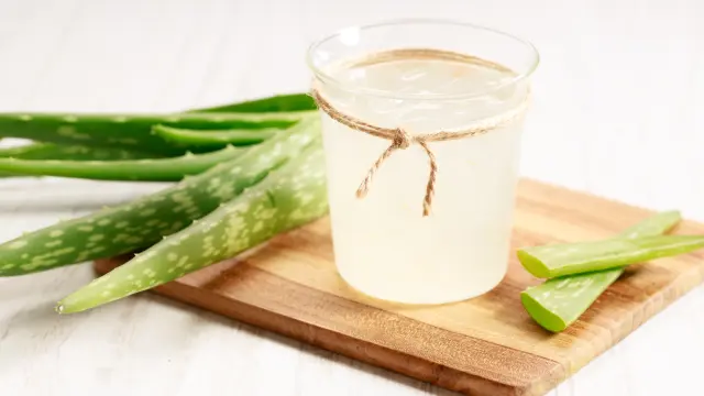 aloe vera