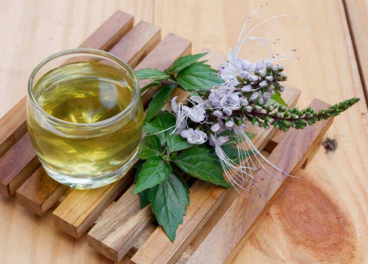 Infusions To Treat Bladder Stones