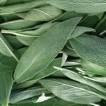 Lower Your Blood Sugar Levels Naturally