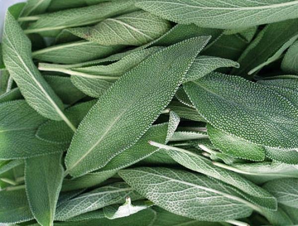 Lower Your Blood Sugar Levels Naturally